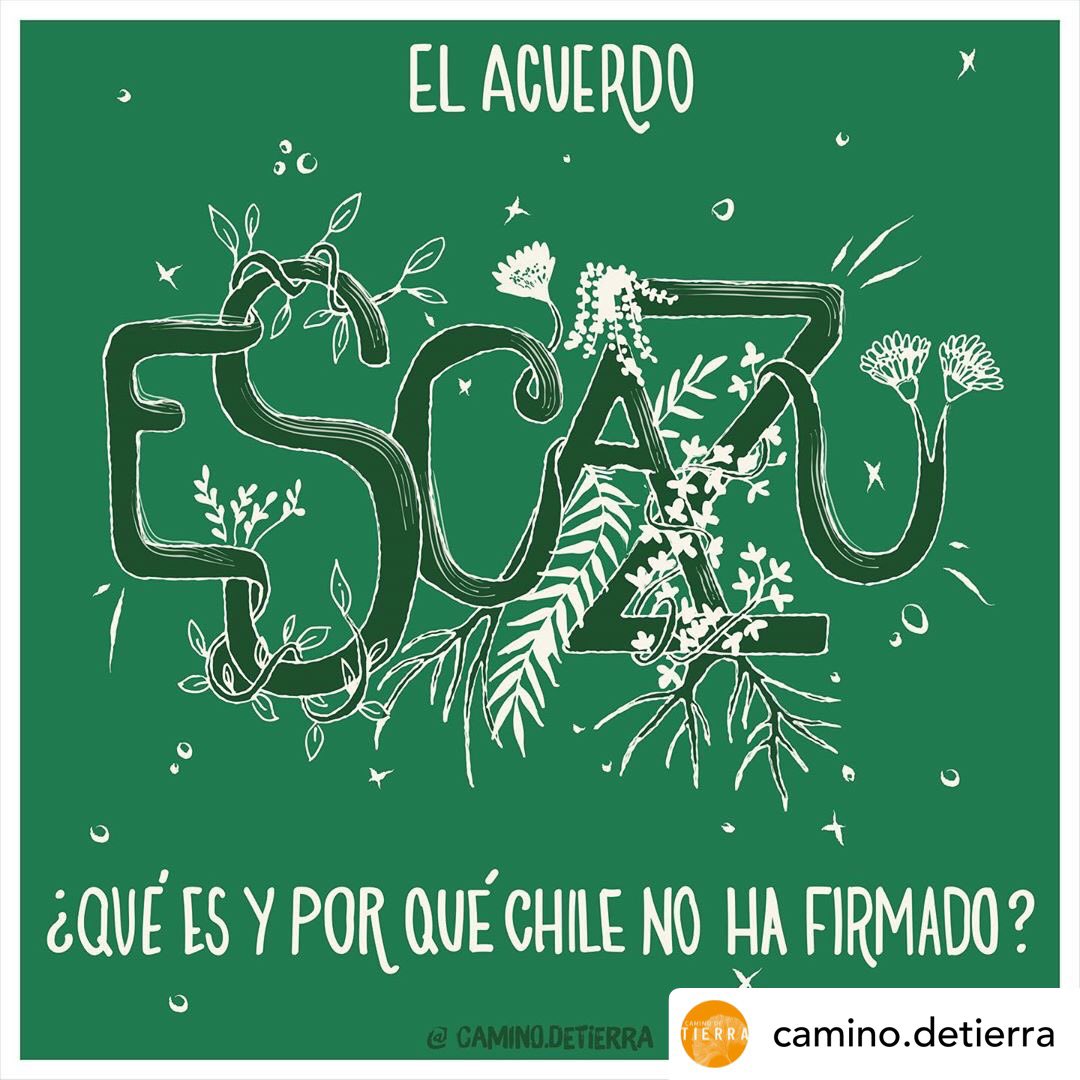 PorMaipo's tweet photo. #EscazuAhora #FirmaPiñera
Por la justicia ambiental que Chile necesita con urgencia 🌿 https://t.co/RpwZUfD66c