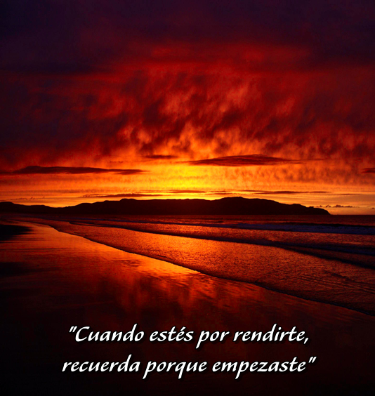 LAPASIONVERDE's tweet photo. https://t.co/eB920ocTdY