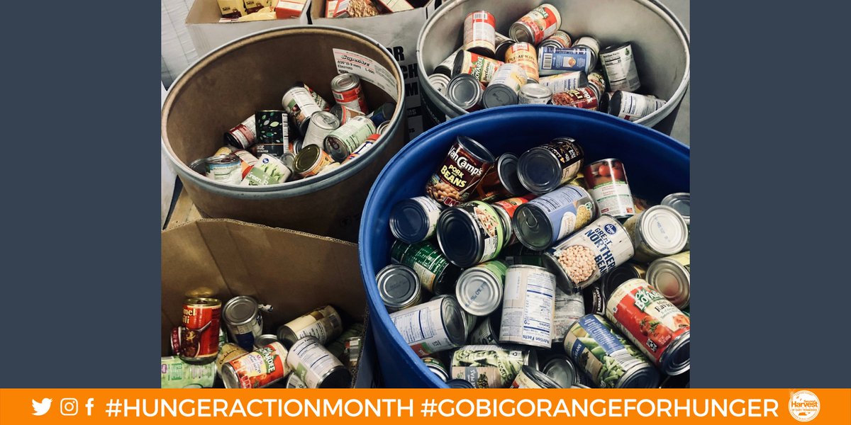 SecondHarvestET's tweet photo. It's #FoodDriveFriday! Virtual food drives &amp; food + fund drives aid in providing food to East Tennesseans experiencing hunger.
🧡
#Friday #FoodBankFriday #FoodBank #FoodDrive #Donate #FightHunger #FeedHope #GoBigOrangeForHunger #HungerActionMonth https://t.co/lRwC7OD5L0