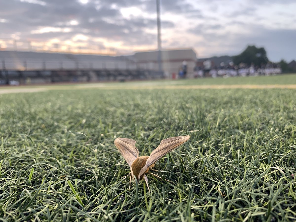 Coach Legg - say “CO-Leh” tweet media