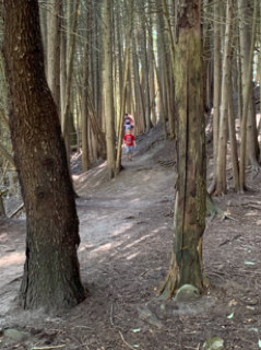 Ideas to support independent outdoor play by <a href="/cnalliance/">Child and Nature Alliance of Canada</a> 
- Get out of the way! Actually move a little further away!
- Wait (try counting to 30!) before getting involved or solving a problem.
- Wait before speaking!
- If you’re constantly being asked to play, say no regularly.