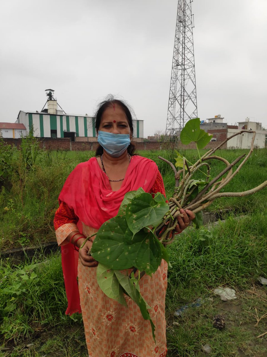 Daya Dasila_mpys (@dayadasila) on Twitter photo 