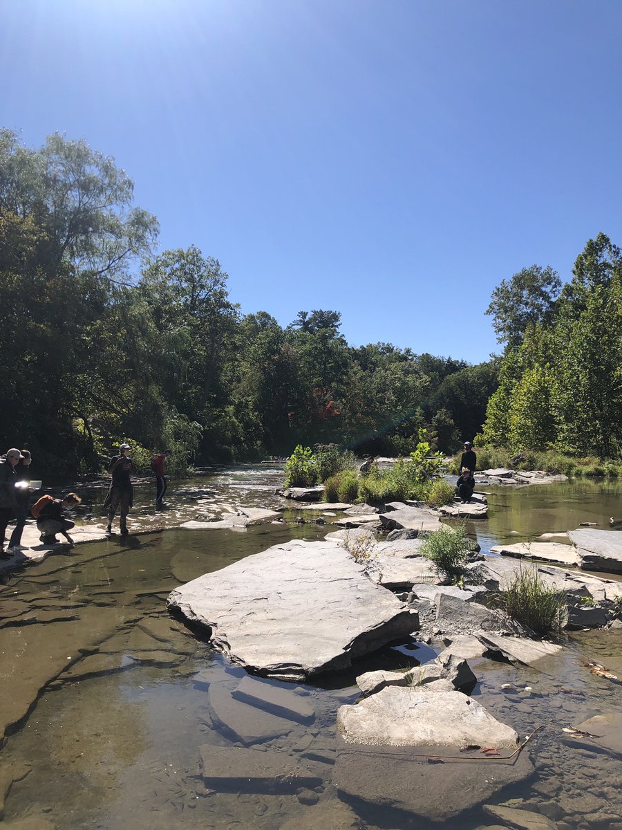 Another beautiful day, another afternoon of field observations! Today’s ecosystem: the iconic Fall Creek #fieldecology #teaching #undergraduatebiology