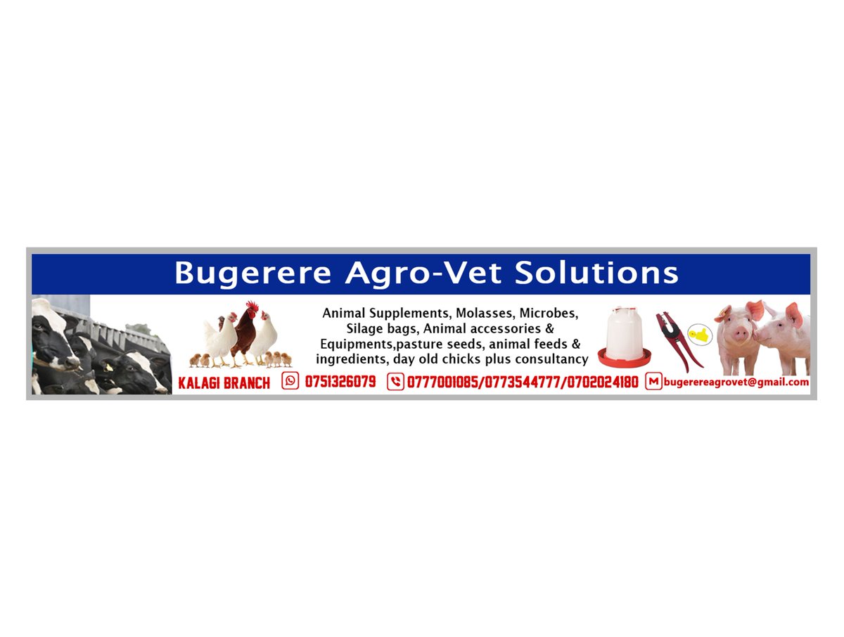 Trumpet_Graphix's tweet photo. Bugerere Agro-Vet Solutions  Signage prototype ready! 

Contact us for Signages and other  #branding work on 0704336417/0774437179 https://t.co/RXGxtrEMvy