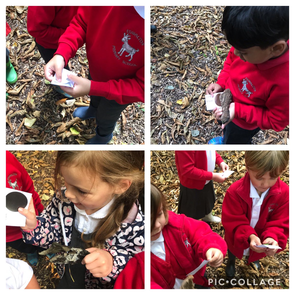 Edwaltonprimary's tweet photo. Great time with Foundation exploring our woods. We found lots of interesting things and did some amazing colour matching 😊 #outdoorlearning #forestschool https://t.co/uRE7jnsRje