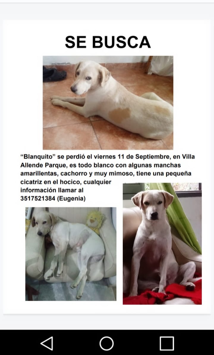 EugeB__'s tweet image. Por favor ayúdenme a difundir, hace una semana no aparece 😔 Zona Villa Allende