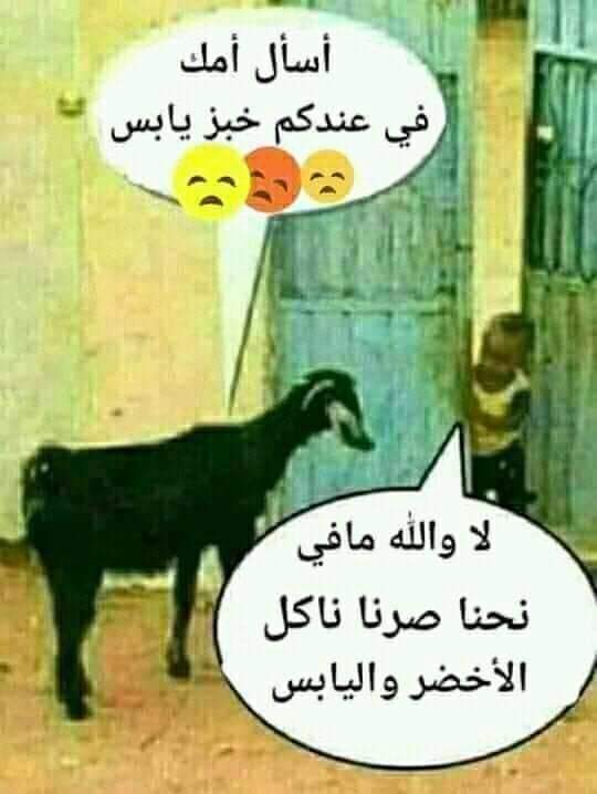 عاشق القمر (@7z9zp8hq8nhhw8c) on Twitter photo 