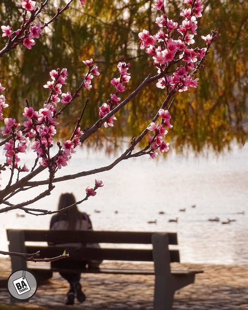 Recomendamos seguir la galería de:
Fotografo  <a href="/rubenslombardo/">ruben d lombardozzi</a> 
Barrio: Palermo 
▫
▫
Selección  @archiecoria
Usa nuestra etiqueta
#BuenosAiresTravel
Seguinos @BuenosAiresTravel 🇦🇷 
#BuenosAires
▫
▫
▫
#NUBESDETUCIUDAD 
#peopleofbuenosaires #LikeBue… instagr.am/p/CFR3KMqFbd-/