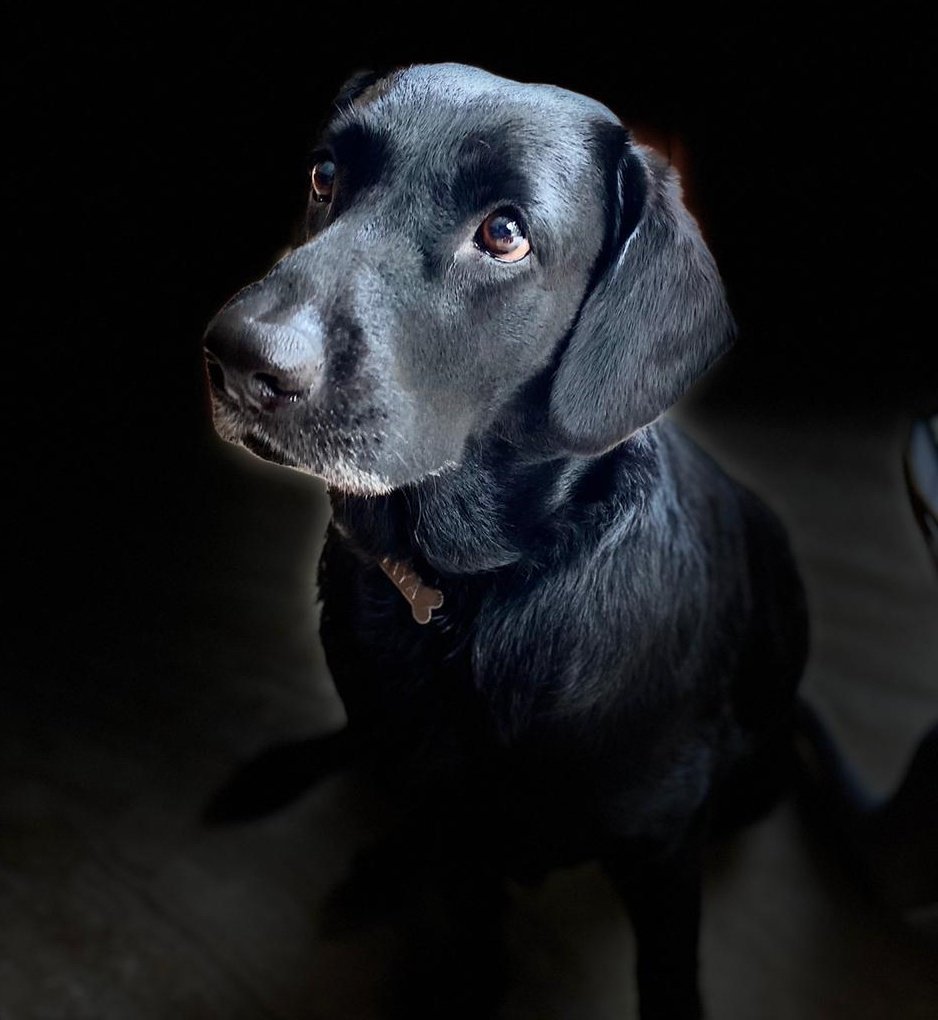 whenwherenilly's tweet image. My luvly sistuh @tripurasundaree  ❤️