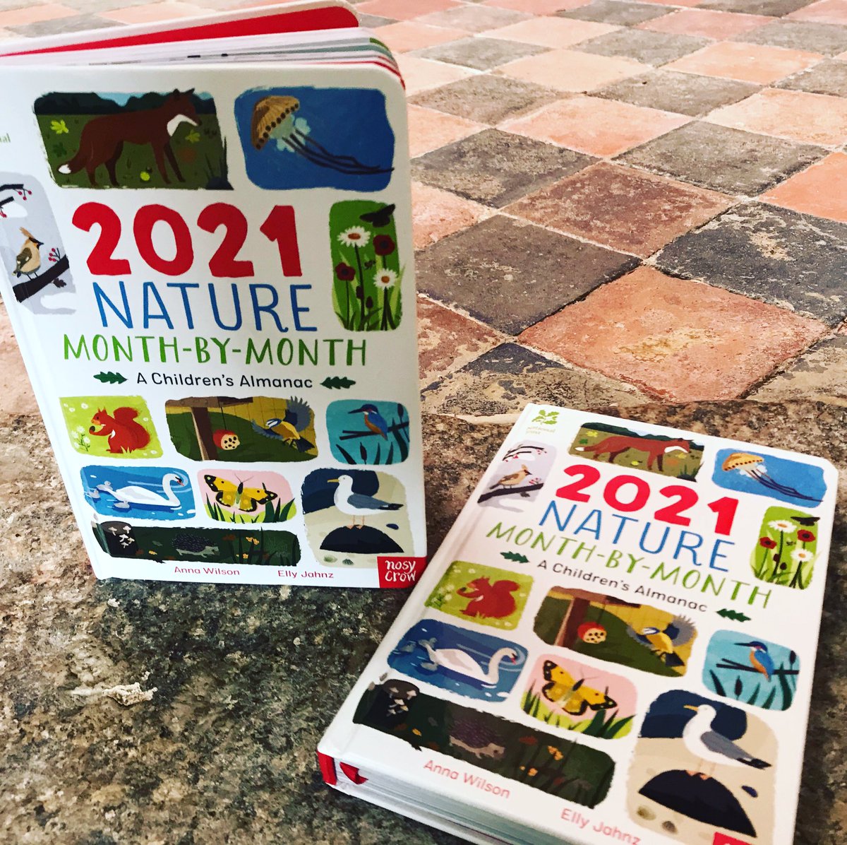 Lovely, shiny new almanac! With gorgeous illustrations by the talented fellow Cornwall-dweller, Elly Jahnz. Out 1st Oct. @NosyCrowBooks @TALLChildrens @nationaltrust #naturewriting #nonfictionforkids @bathkidslitfest #readingismagicfest @NCornBookFest