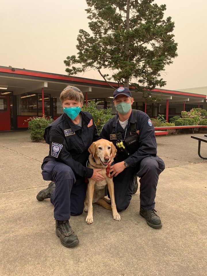 Texas A&M Veterinary Hospital tweet media