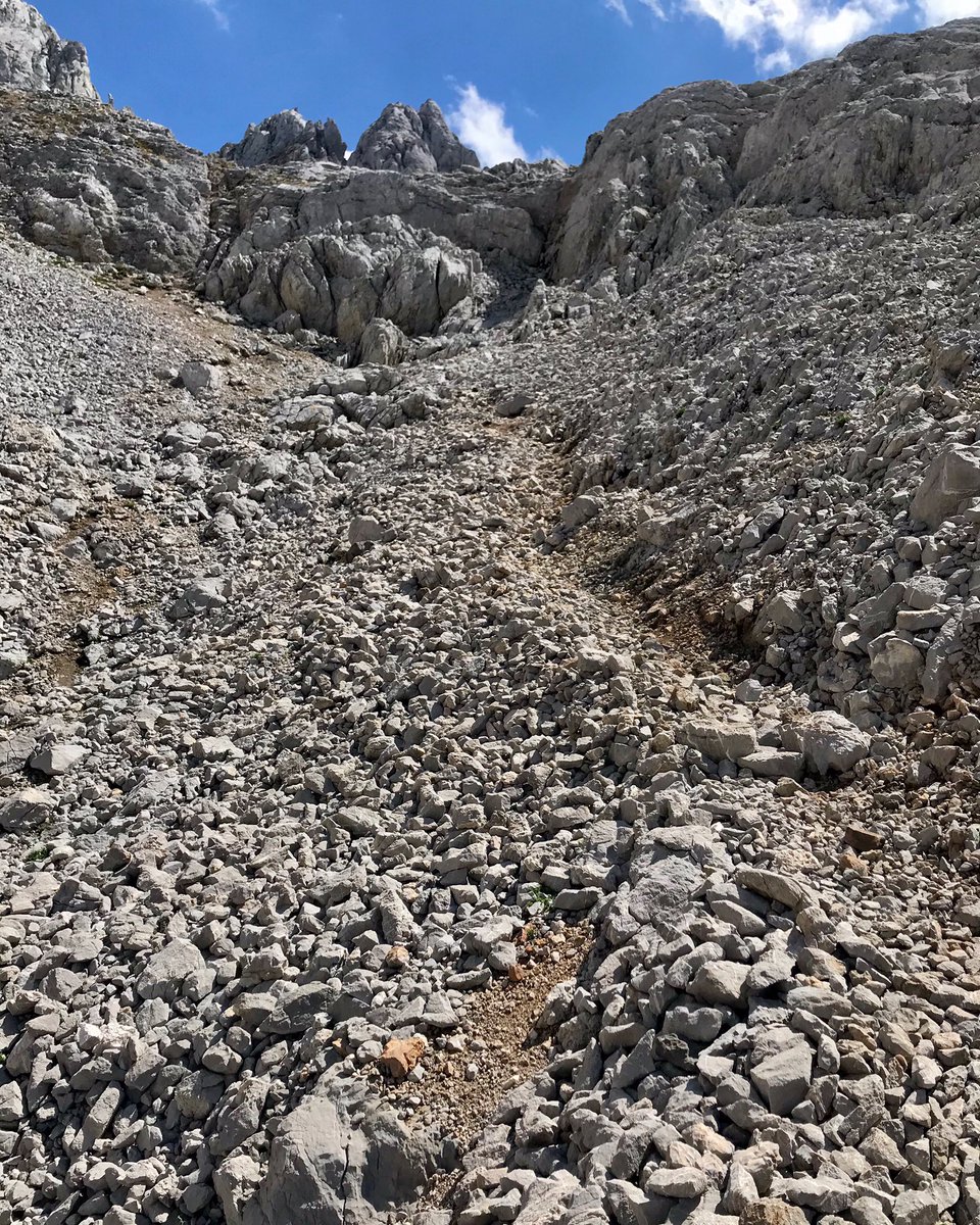 SanlesT's tweet photo. Una vez hayas probado el vuelo, siempre caminarás por la tierra con la vista mirando al cielo, porque ya has estado allí
y allí desearás volver...

#leonardodavinci #miazul #caliza #caminando #PicosDeEuropa https://t.co/pEvuVPxBLJ