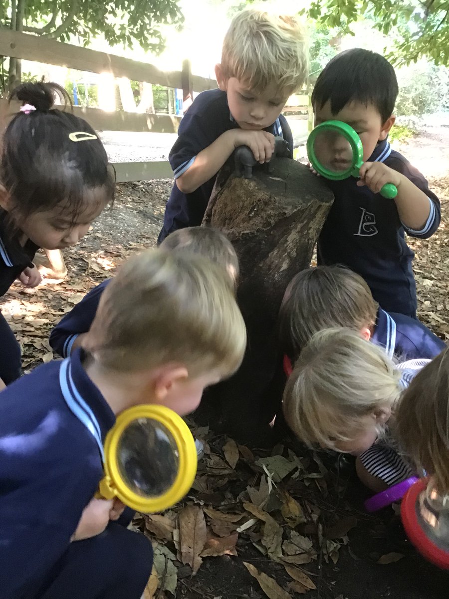 BCSPrep's tweet photo. Did you know that every term our pupils take part in their own Forest School day? Take a look at Kindergarten enjoying some lesson time in our custom built outdoor classroom... πΏπ³ #bcscuriosity #forestschool https://t.co/PjWucCB6SJ