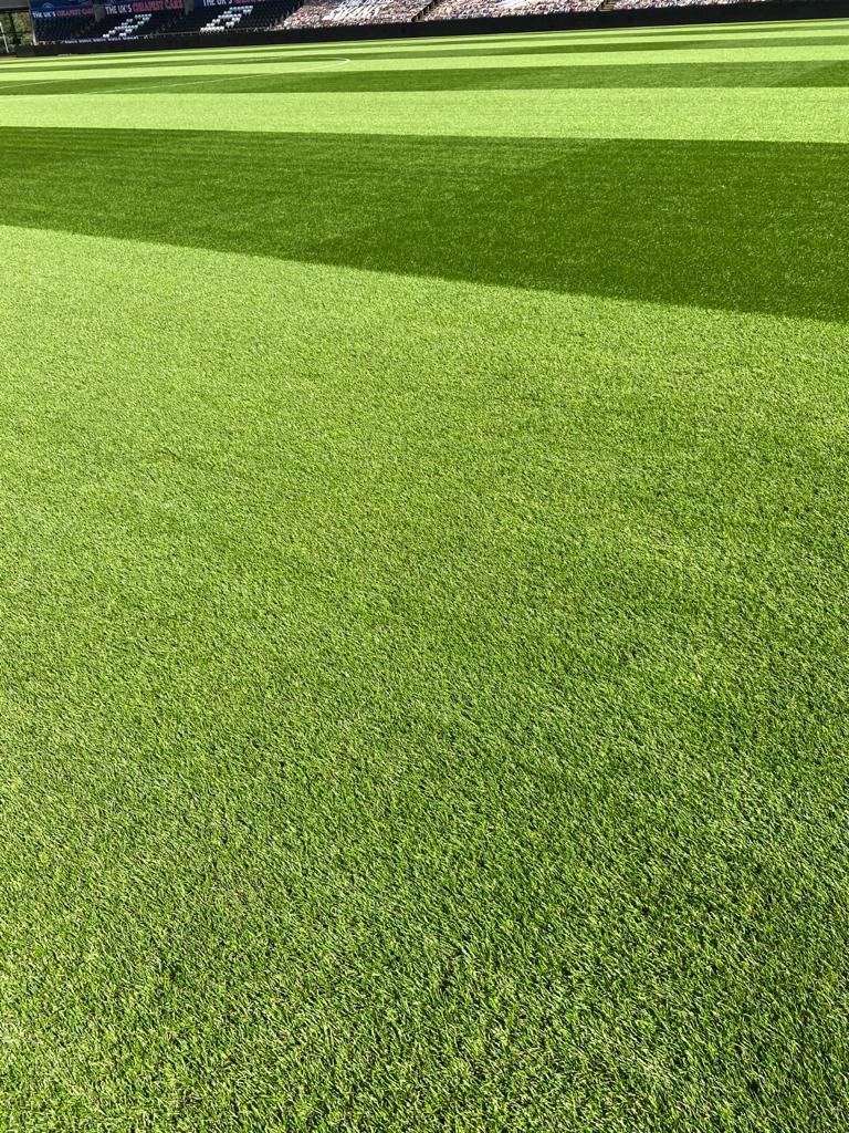 A busy summer with the first football home game of the season tomorrow. The pitch is in top condition @LibertyStadium @SwansOfficial @AnthonyHarry87 @Evs3392 @TomEasterbrook9 🌱👌