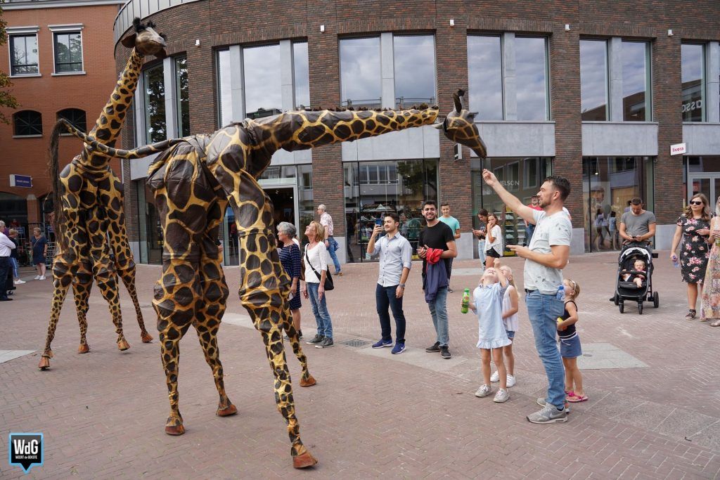 Run op gratis tickets Cultureel Lint ➜ weertdegekste.nl/2020/09/run-op… #Weert