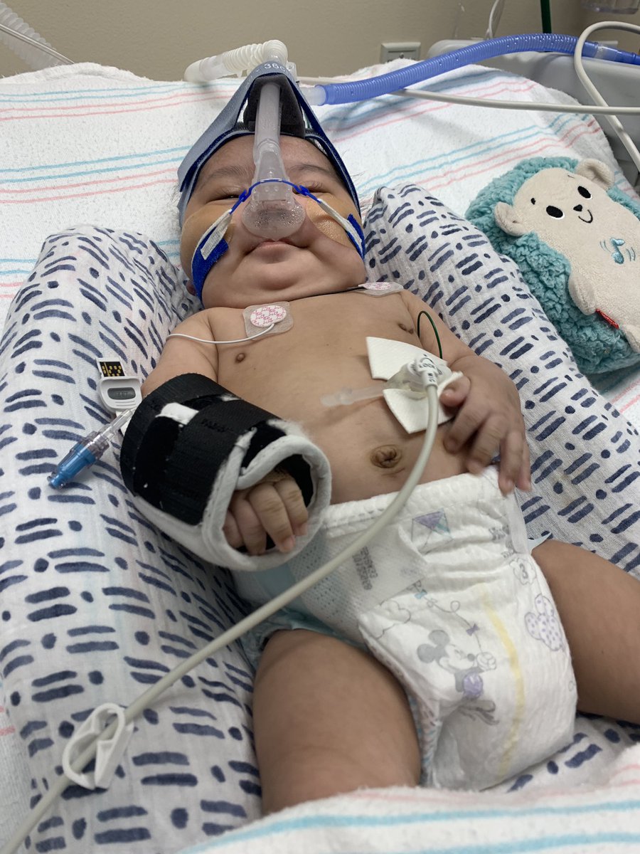 Amy Liczwek tweet media