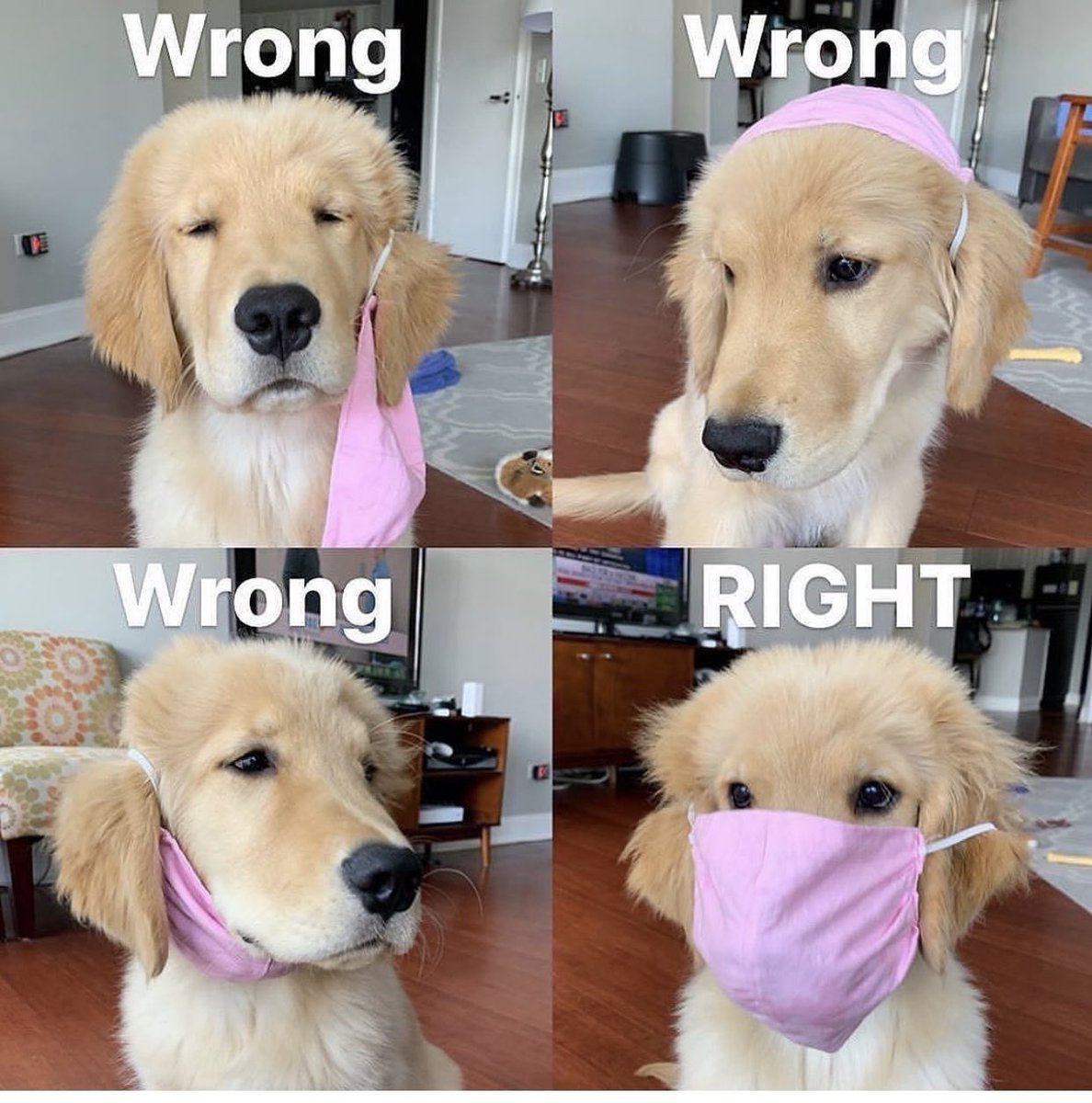 How do you wear your face mask? 👀

#COVID19Nigeria