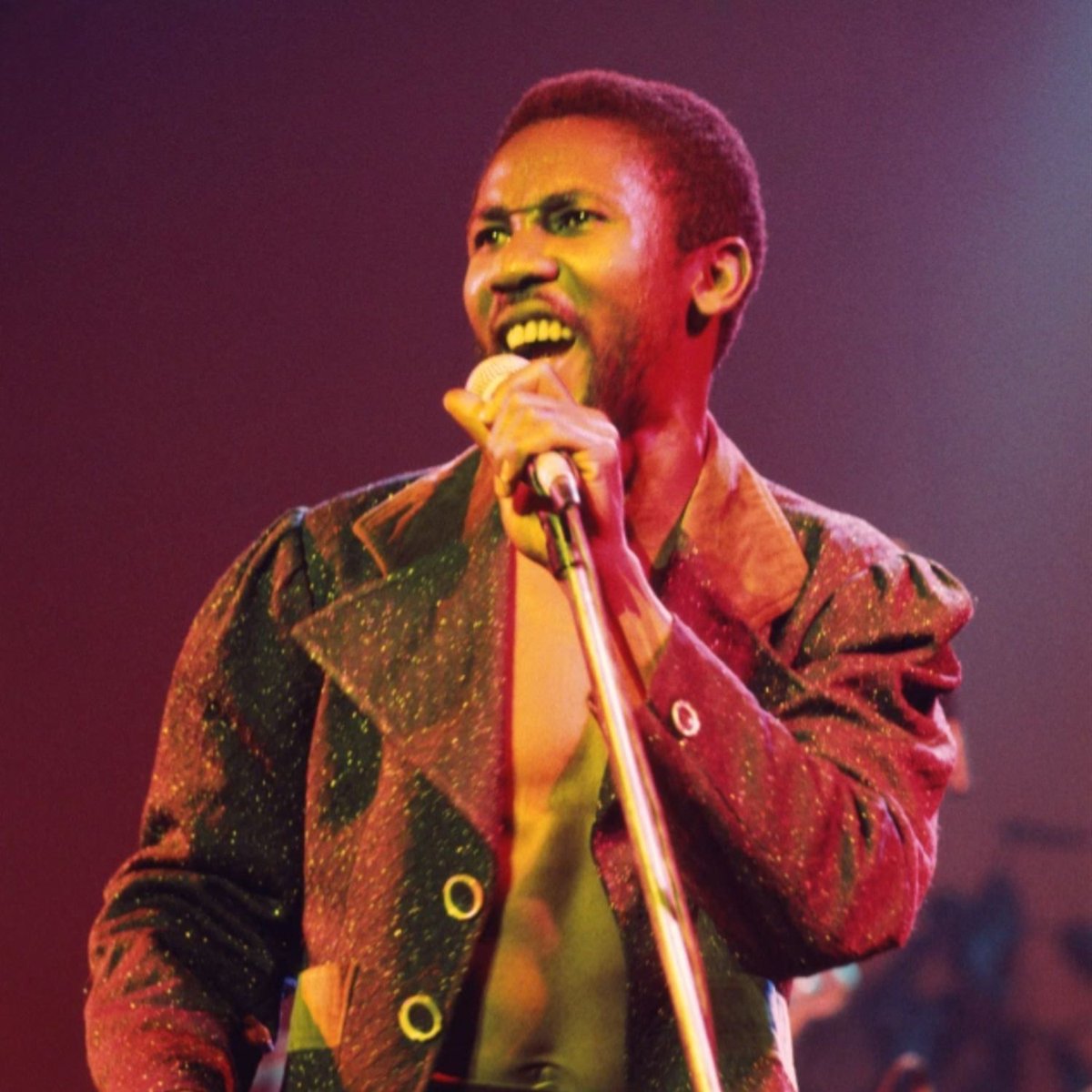 dvibesuk tweet media