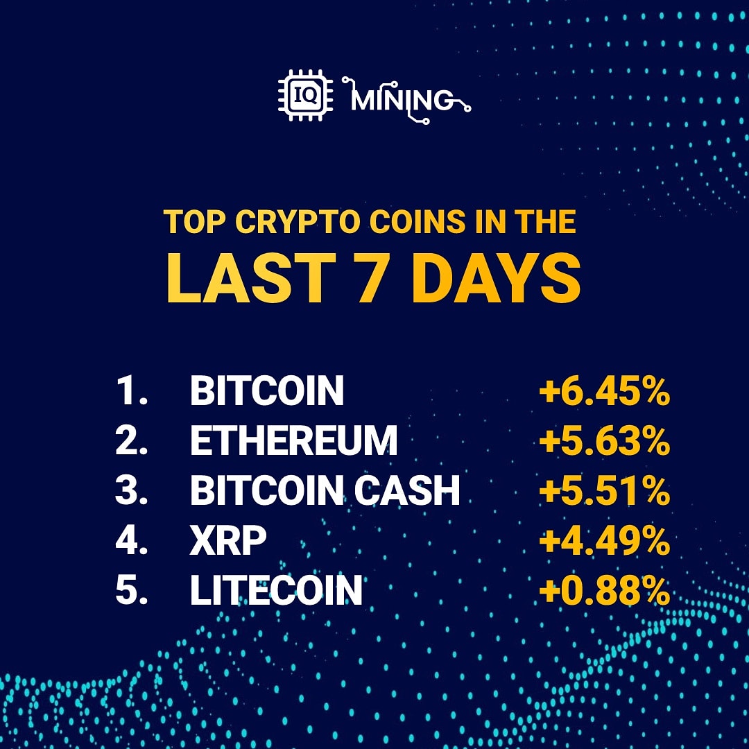 iqminingcom's tweet image. Top cryptocurrencies in the last 7 days!

Purchase cloud mining contract and start mining the most profitable crypto coins! 💯