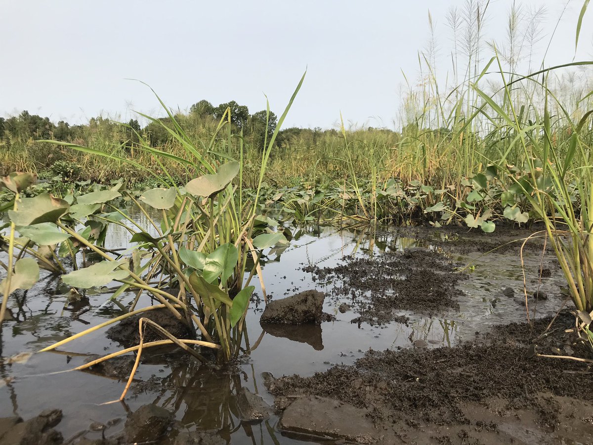 Mercer County Park Commission tweet media