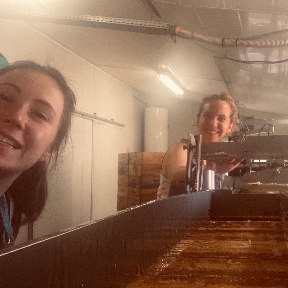 Ruchers du Bassigny tweet media