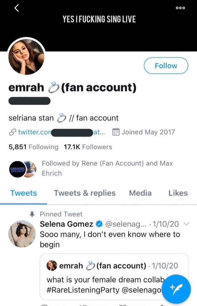 6. Lovatics started to notice that Max follows a lot of Selena fans on twitter, including the one that made the fake screenshots from Demi’s private Instagram account that has now been deleted, and others that have said quite nasty things about Demi.