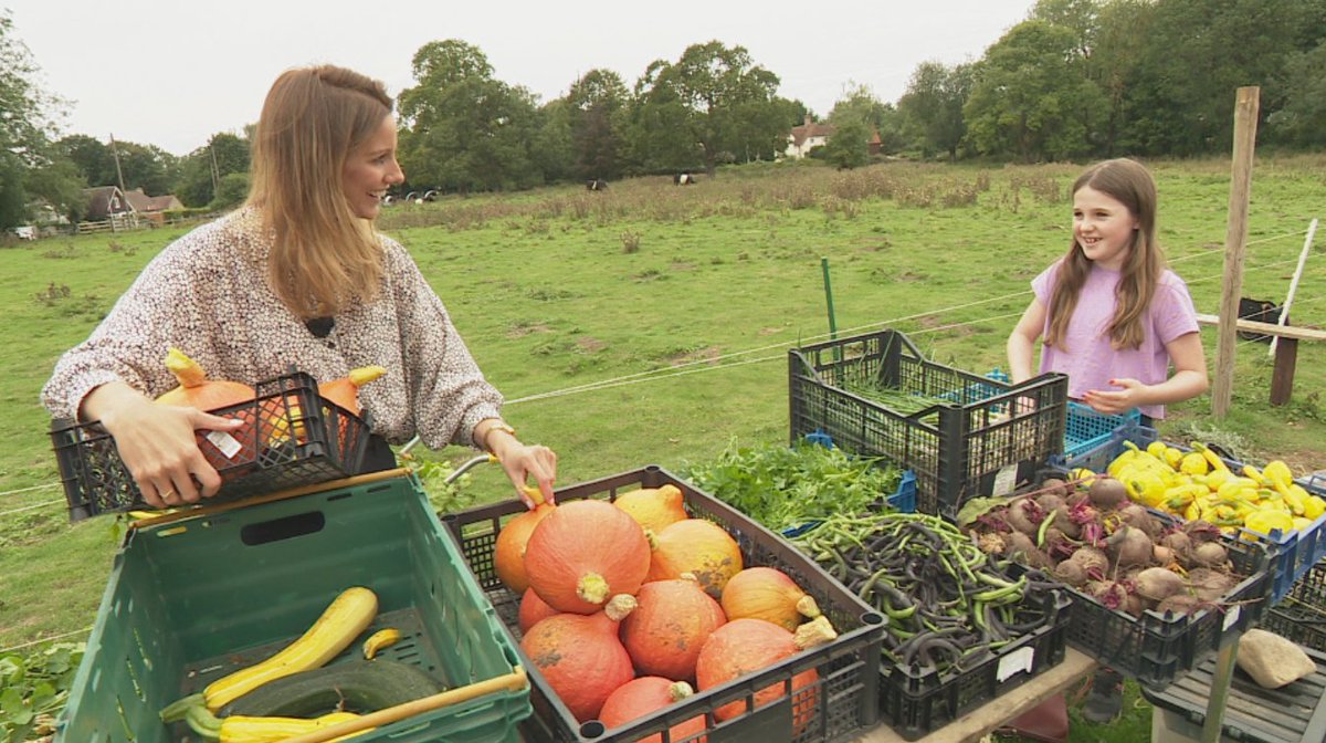 LizSummers's tweet photo. On @itvanglia at 6pm - The Cambridgeshire farmer donating parts of his land to create huge @CoVegUK community vegetable patches #Thriplow #Cambridge https://t.co/9SsMC1WrAG
