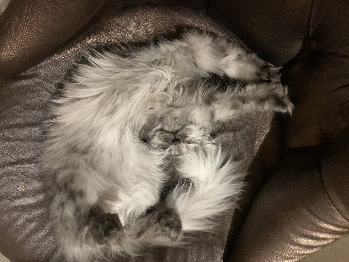 IsssQT's tweet image. this what i have been doing while inactive