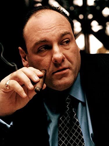 Happy Birthday to the King... James Gandolfini!! You are missed! 