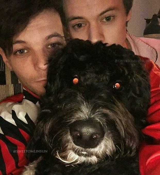 Larry Fics tweet media