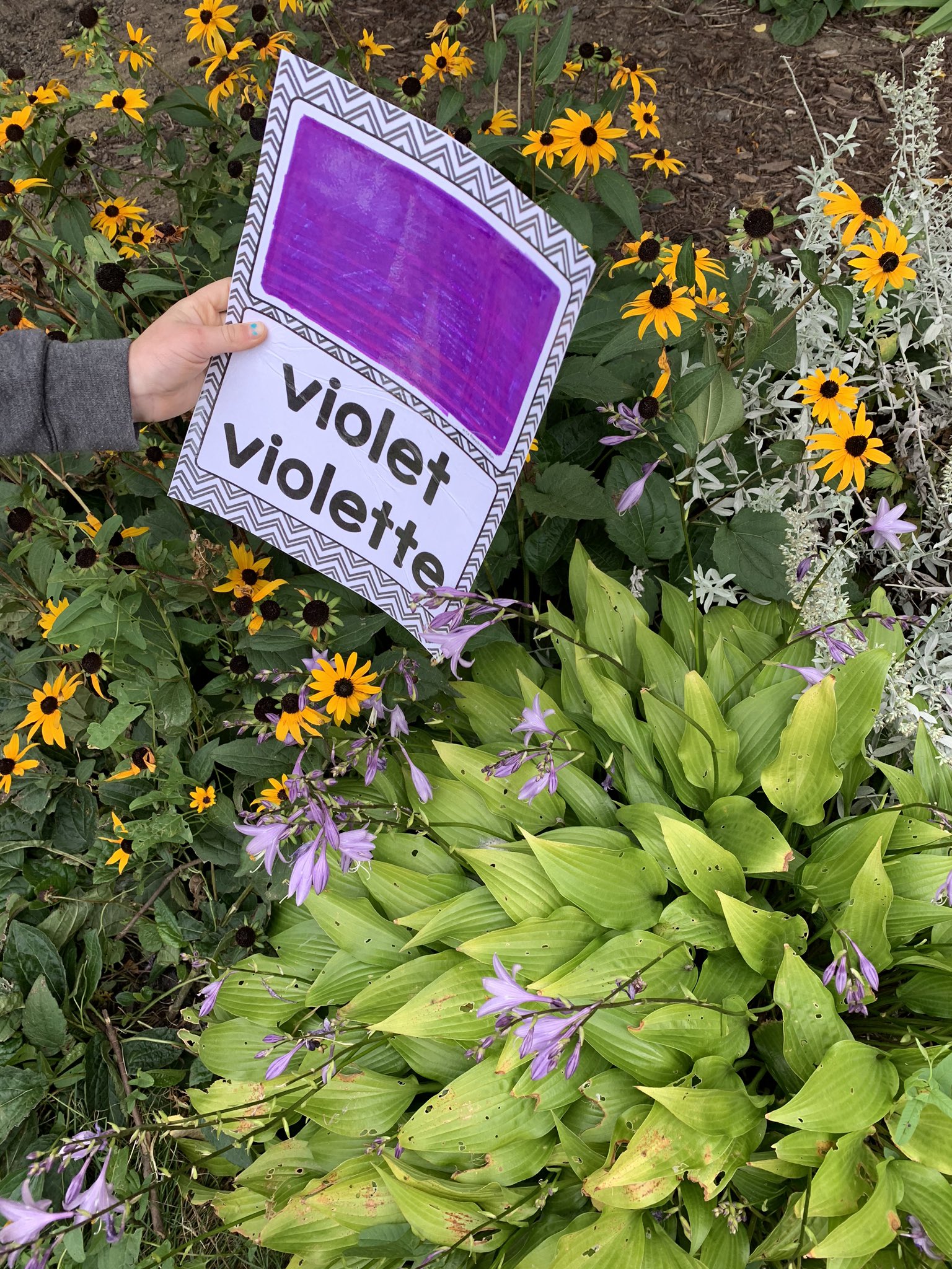 CLR120 Kinders (CLR120Kinders) / Twitter