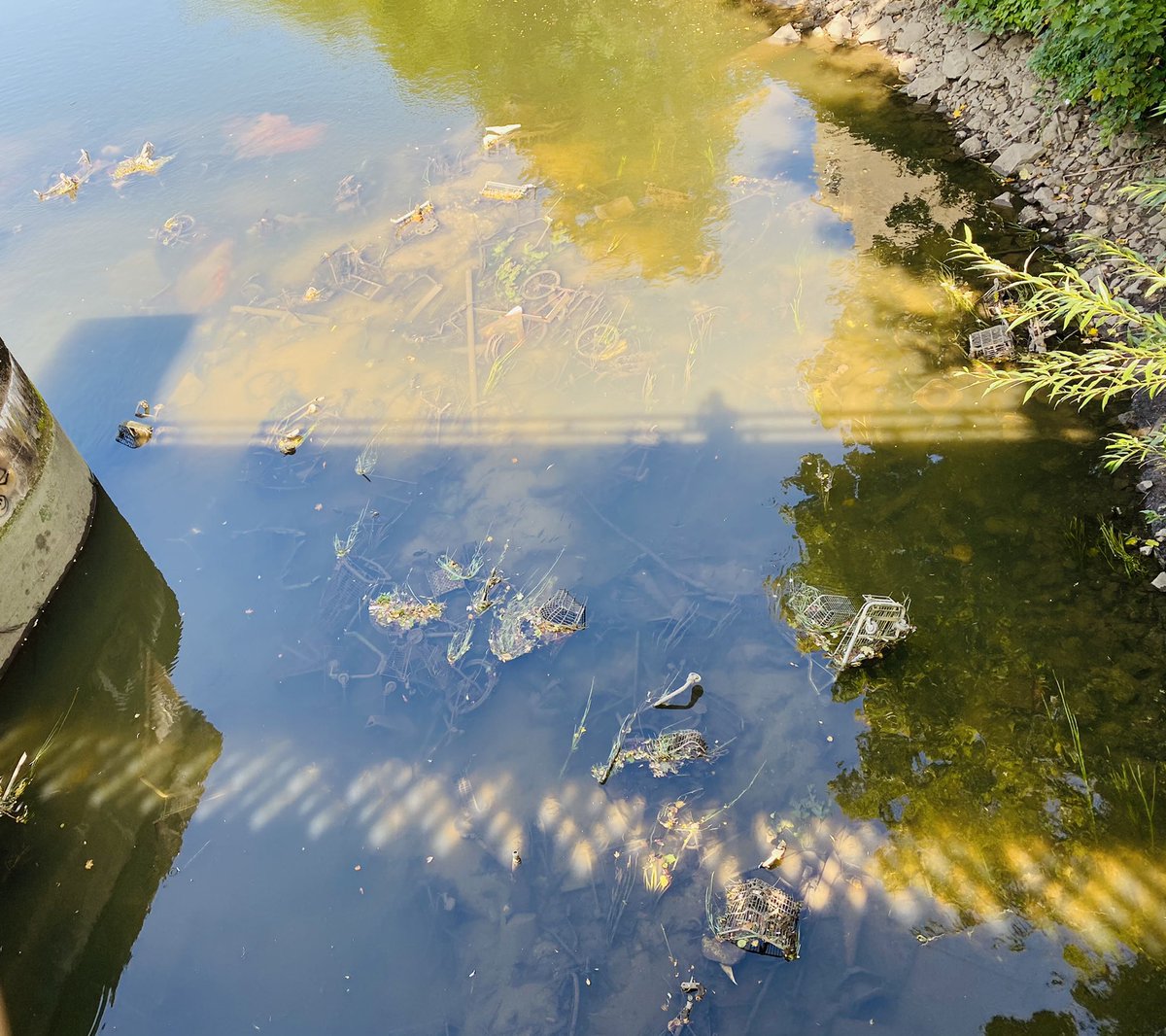 Bath - River Avon ..took this photo today from the bridge over the Avon near Sainsbury Store. A very sad sight, river down and the bottom is full of rubbish, bikes, trolleys. Obviously no one doing anything about it.