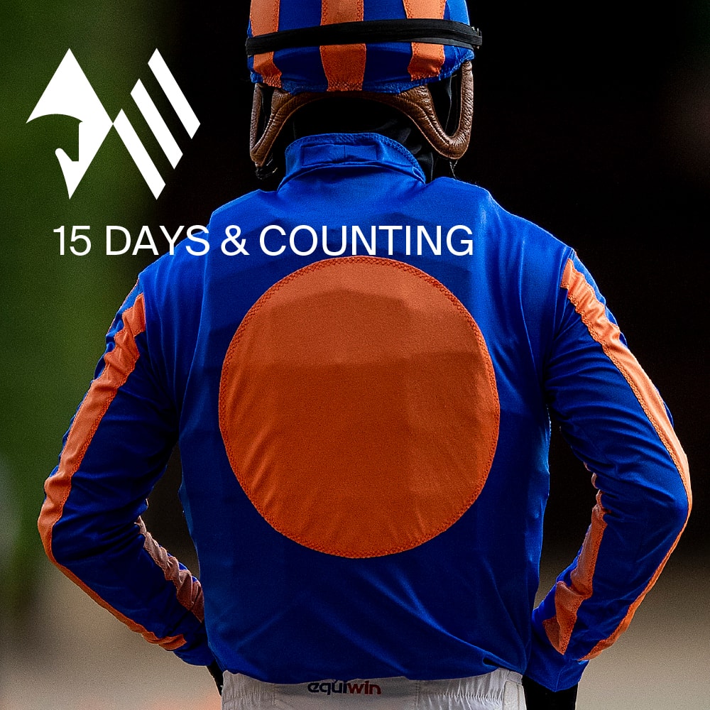 The countdown to #Preakness145 is on.