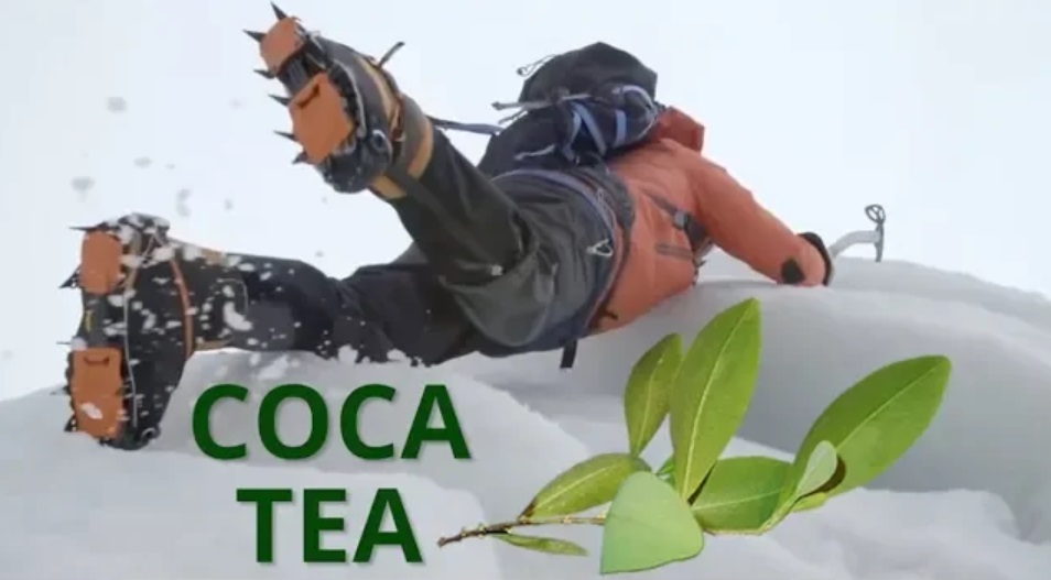 Coca Leaves On Mount Everest
youtube.com/watch?v=o4KpsE…
cocateaexpress.com/coca-leaves-mo…
#CocaTea #CocaTeaExpress #CocaTeaExpressShop