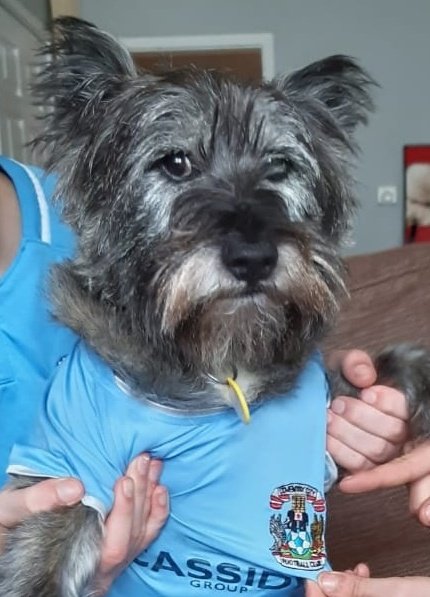 Gus-tavo hamer ready to be subbed on last minute!
#CCFC #InOurCoventryHomes @Coventry_City