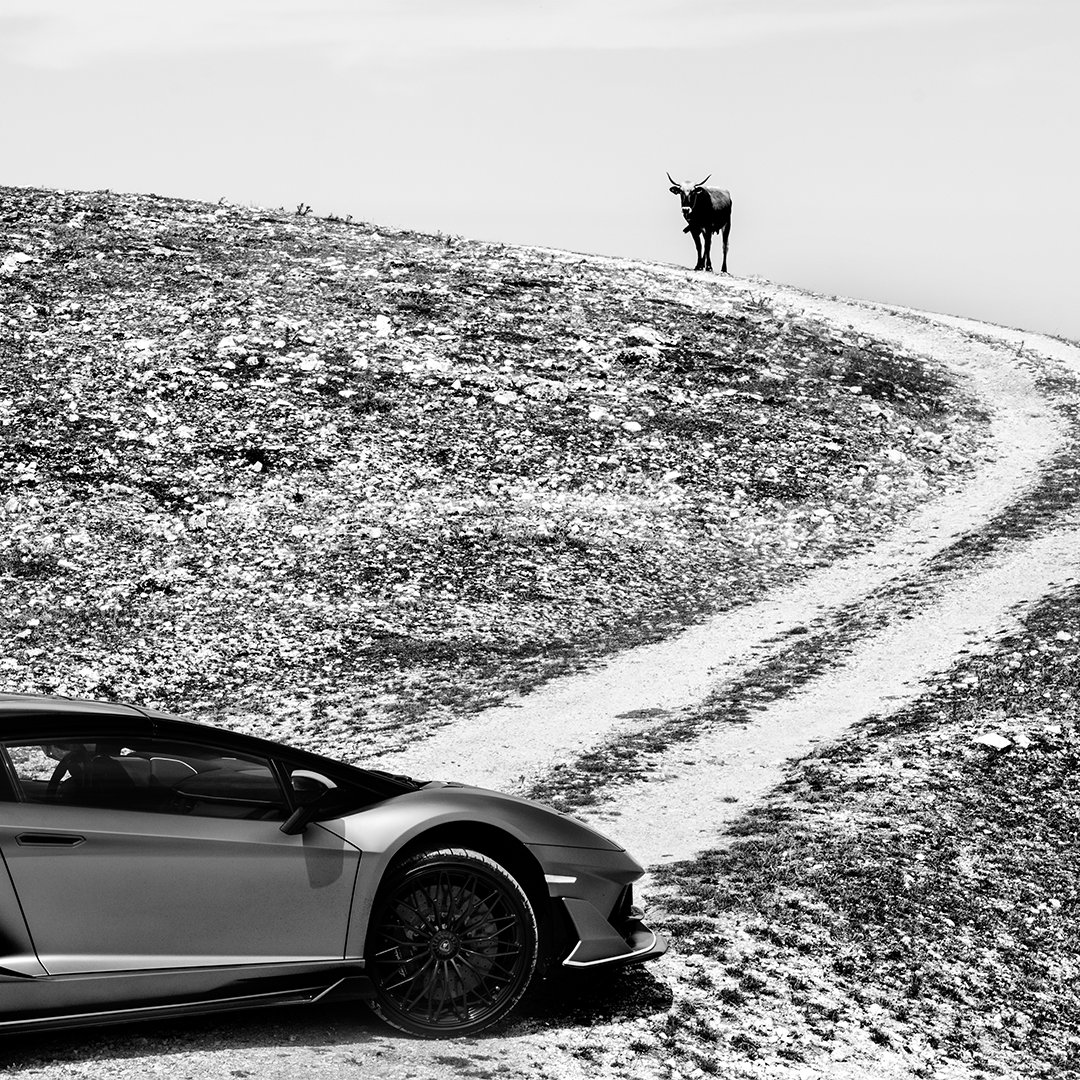 Just like the scenic region of #Puglia is a gateway to history and ancient traditions, the Aventador SVJ Roadster that explored it is the perfect representation of Lamborghini’s illustrious heritage.

Captured by Gabriele Micalizzi.

#Lamborghini #AventadorSVJ #WithItalyForItaly