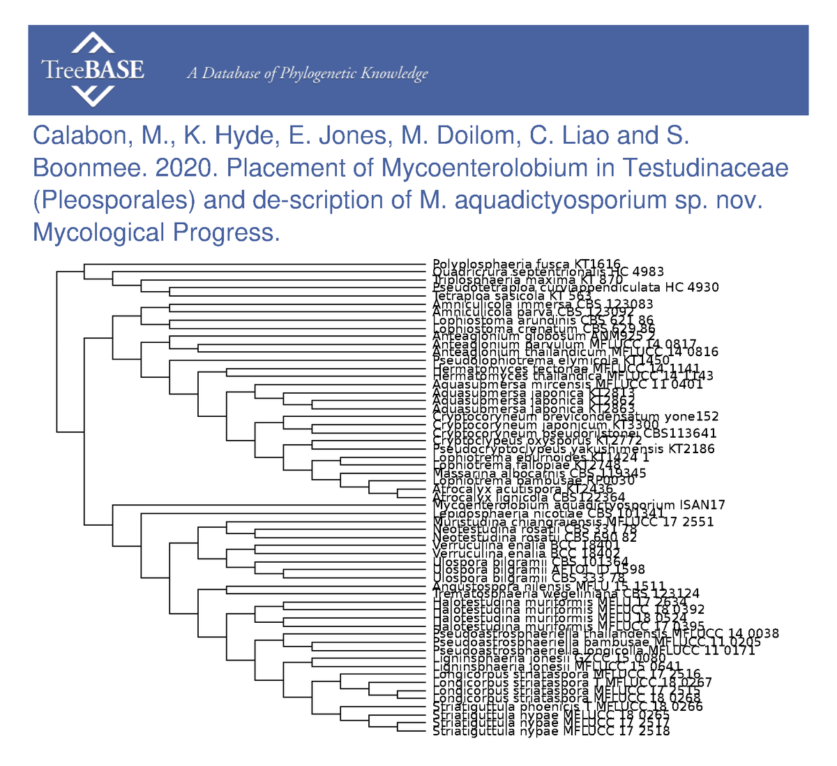 treebase's tweet photo. Mark Calabon and colleagues shared their data with #TreeBASE on Sep 18, 2020. #MycologicalProgress
https://t.co/23PLzxGycs https://t.co/iWzfQzQpPK