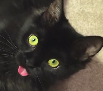 💖