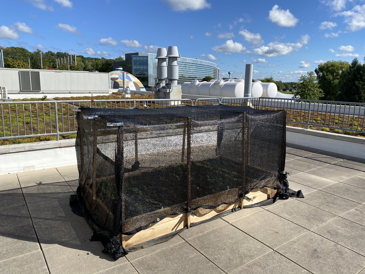 Wilson Student Team Project Center tweet media