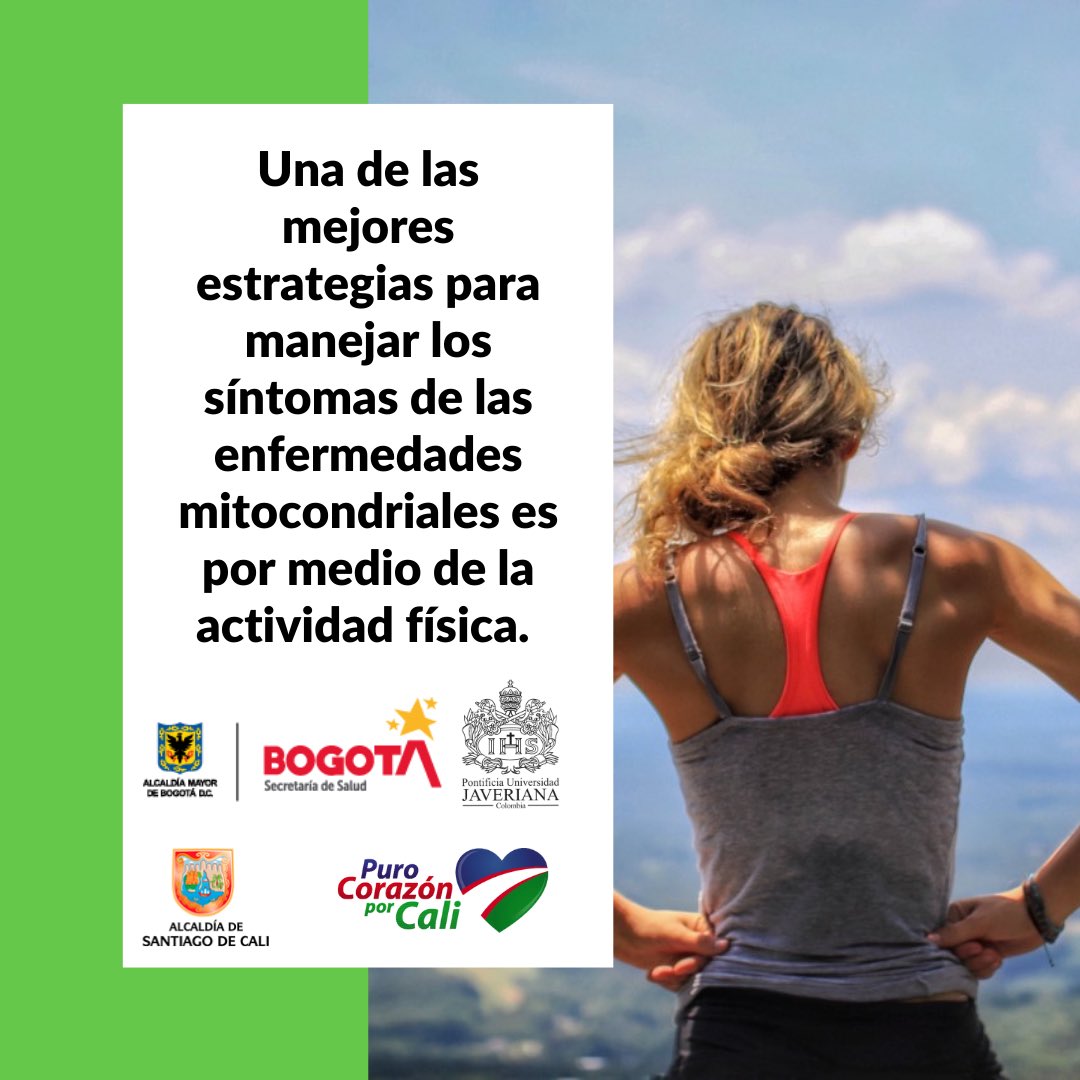 preverdec's tweet photo. Actualmente no existe cura para las #enfermedadesmitocondriales, sin embargo, gracias a la investigación se ha logrado el desarrollo de varios tratamientos que pueden aliviar los síntomas.
#moveforMITO #tackleMITO #mitoaware #LightUpForMito #mitonchondrialdisease https://t.co/K7a4ZxiPfB