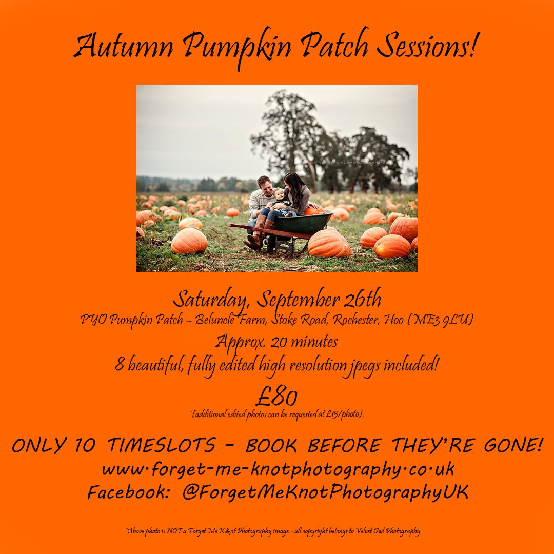 ForgetOt's tweet image. Pumpkin Patch Sessions! #pumkin #fall #photography #family #nature #kent #medway #rochester #Gillingham #newbornphotographer @ForgetOt