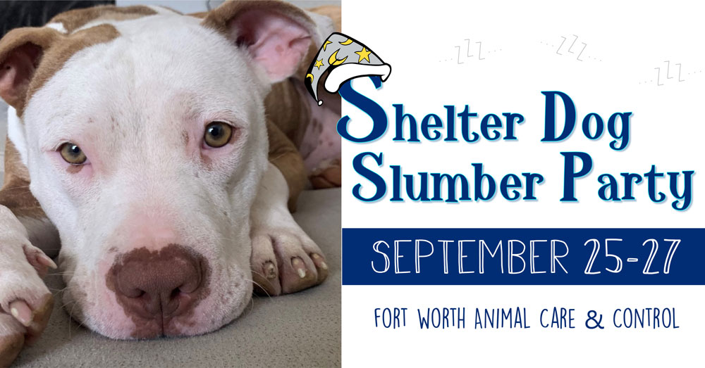 sybil1037's tweet image. Get your PJs ready! fortworthtexas.gov/news/2020/09/A…