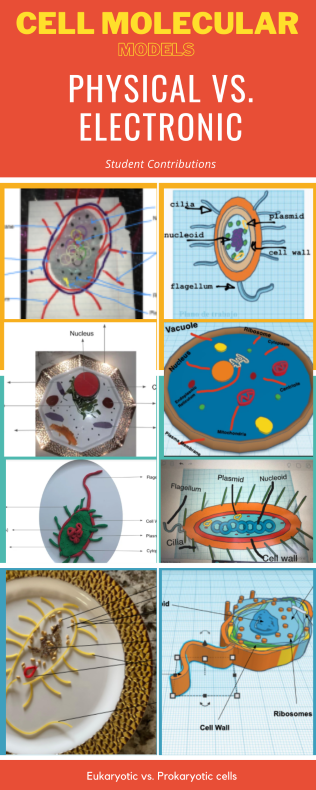 reshyed's tweet photo. Super proud of my #biology students in designing molecular models of cells. 👏#studentcreativity #onlinelearning  #diversity  #studentchoice https://t.co/cm0C2AQ7A3