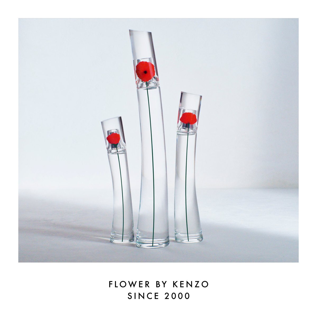 kenzo lvmh