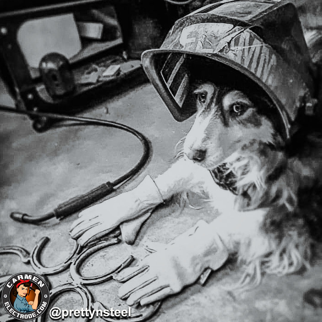 If you're having a ruff day, maybe @prettynsteel's pawfect gentleman can help. 

#teamnothumbs #lincolnwelders #lincolnelectric #welding #metalart #horseshoeart #australianshepherd #dogsofinstagram #carmenelectrode #girlpower #tradeswomen