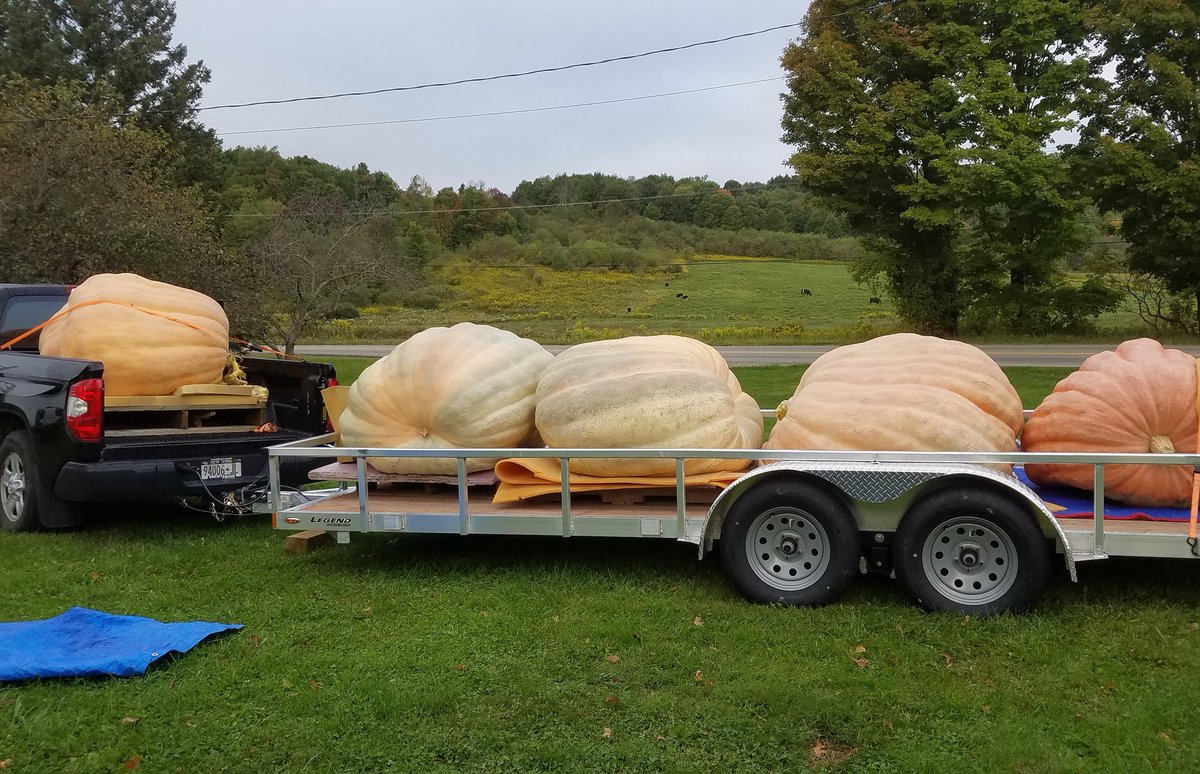 🎵On the road again 🎵