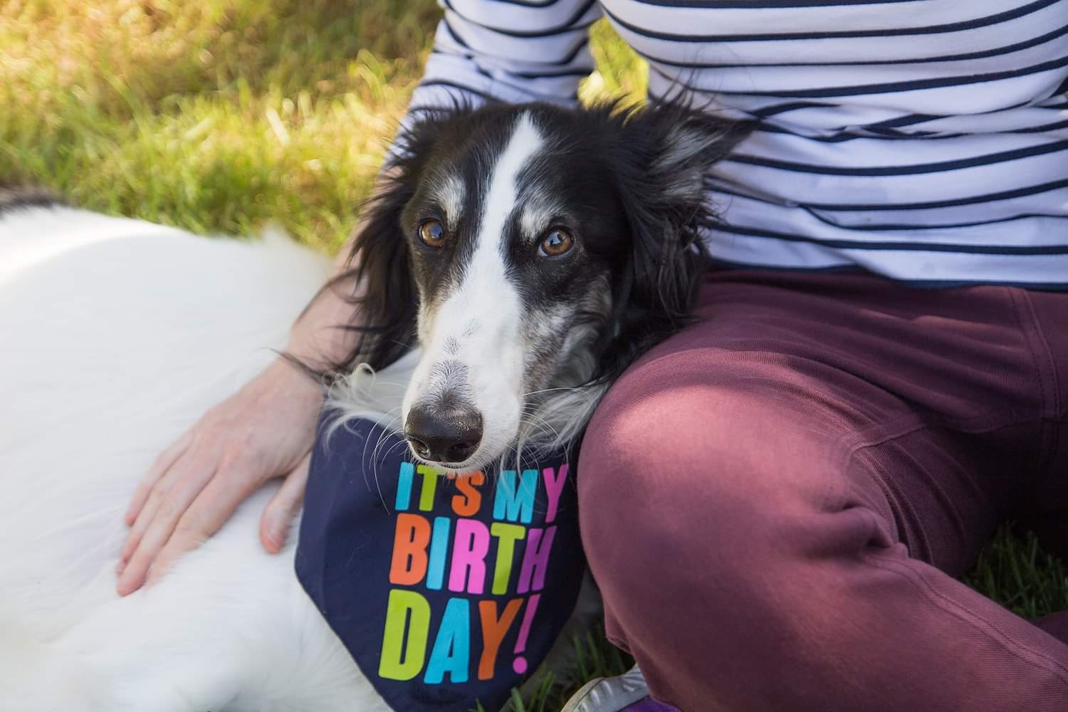 Evryone sound off in the comments adn wish Prince Nikolai a happy 2nd birthday 