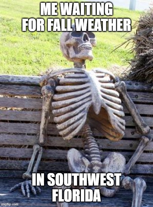 CSSWFL's tweet image. it's always hot in #CAPECORAL