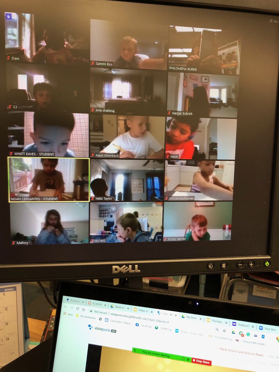 1st Grade Cougars tweet media