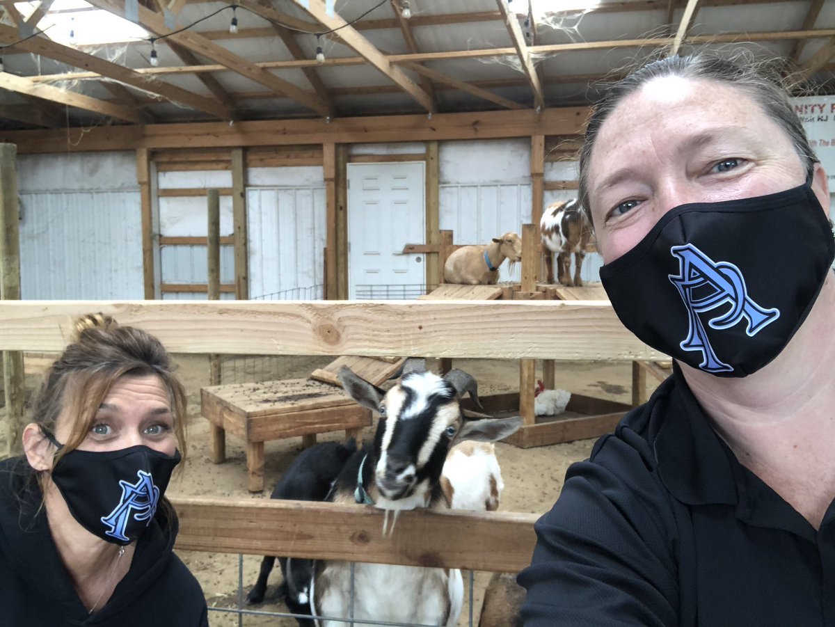 Kristina Marrone tweet media